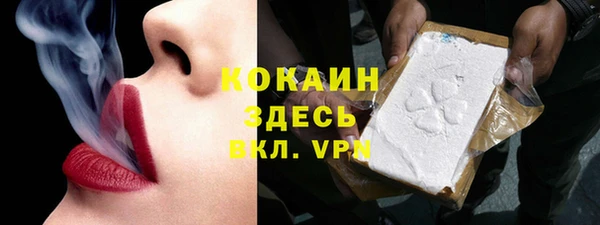 круглые Корсаков