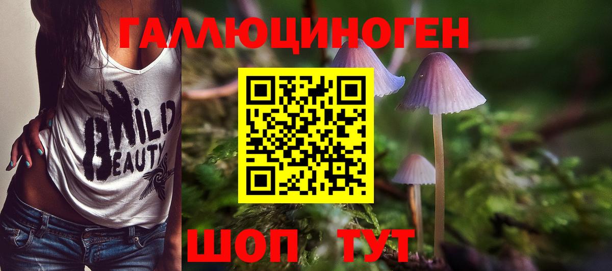 Псилоцибиновые грибы Cubensis Таганрог