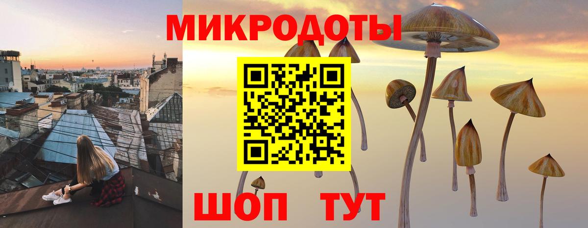 Таганрог  Псилоцибиновые грибы прущие грибы  Вход с VPN 